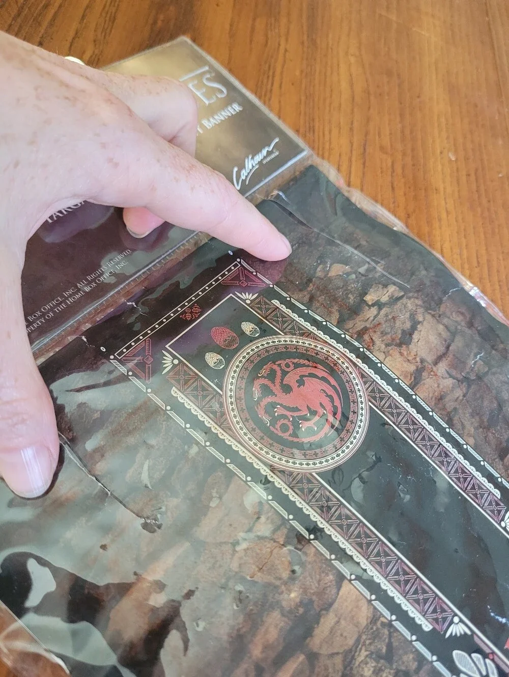 Game of Thrones Tournament Banner Set House Stark & House Targaryen NWT/sealed